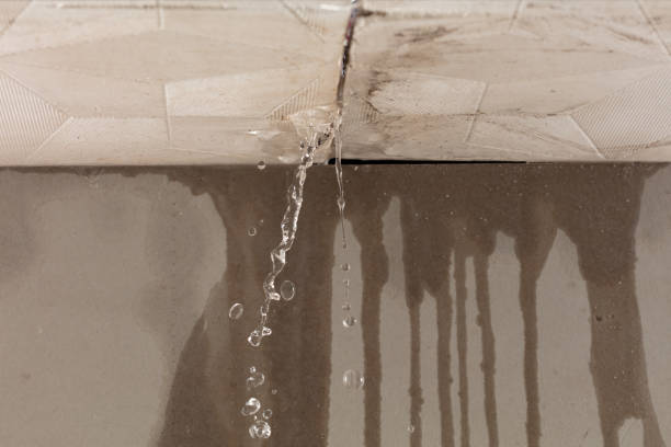 Professional Water Damage Restoration technician working in Mapleton, MN
